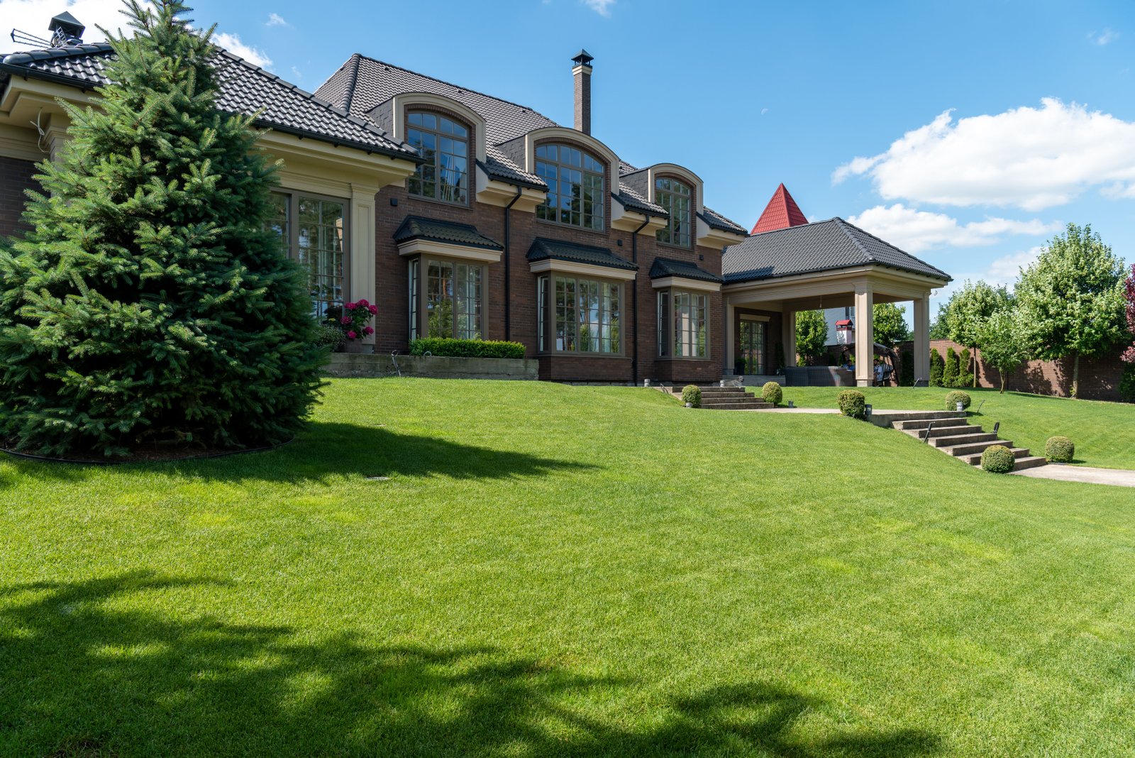 Residential backyard turf cleaning